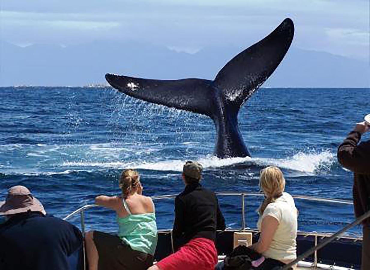 Fish Hoek Whale Watchers Apartments Eksteriør bilde